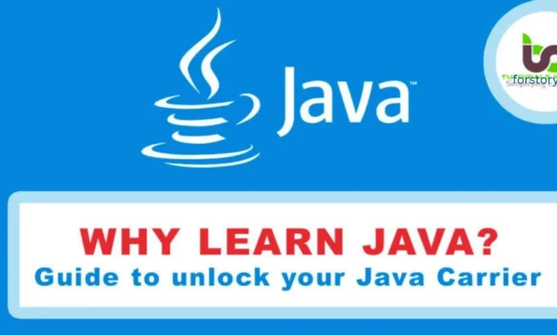 Java Or Python